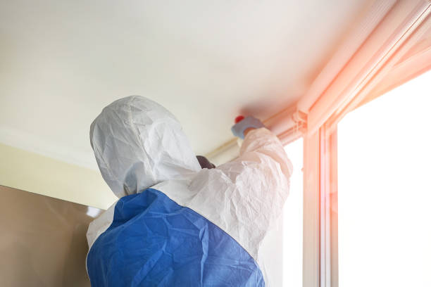 Germantown, TN Mold Removal & Remediation Company